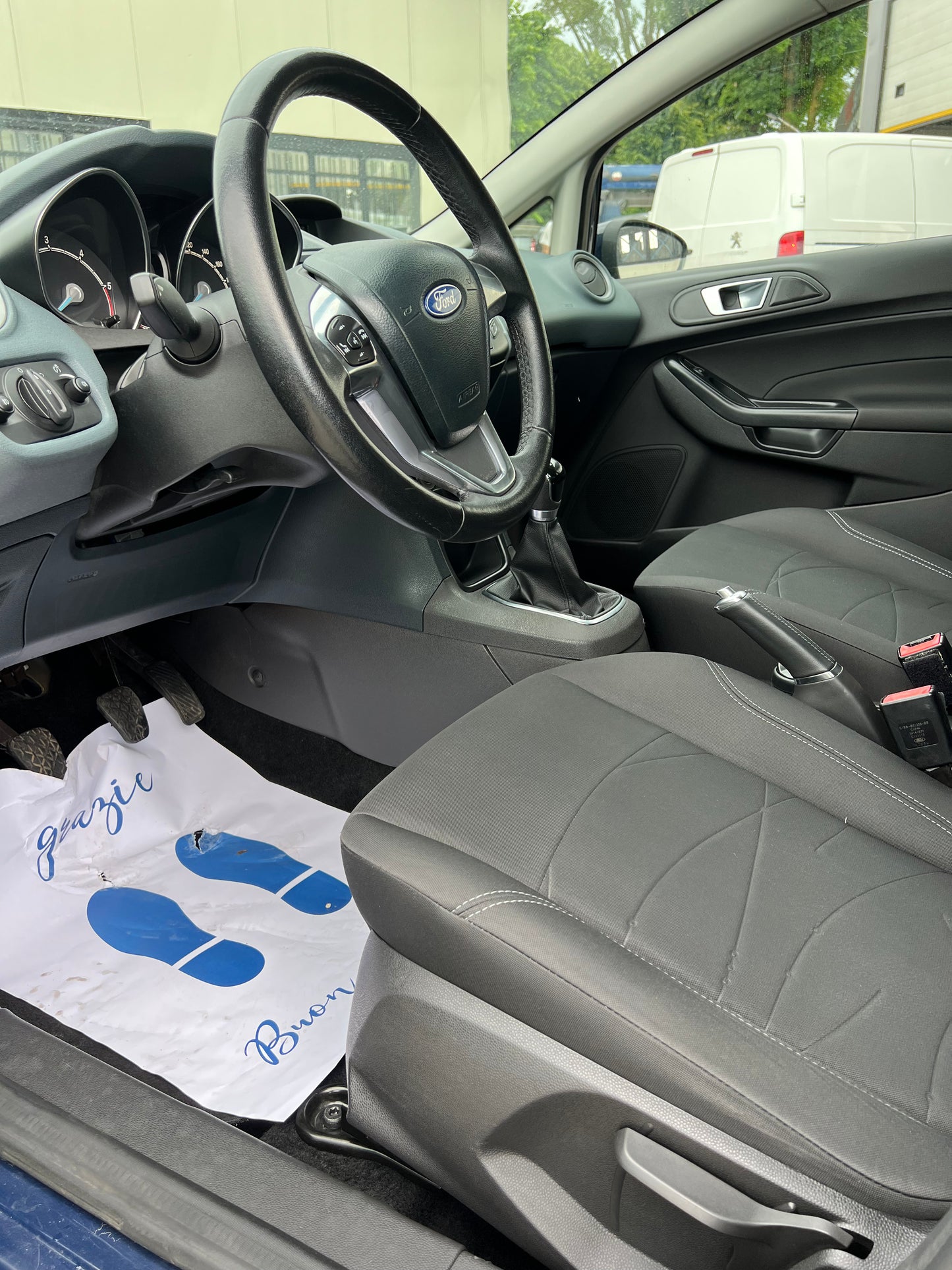Ford Fiesta Black e White Edition